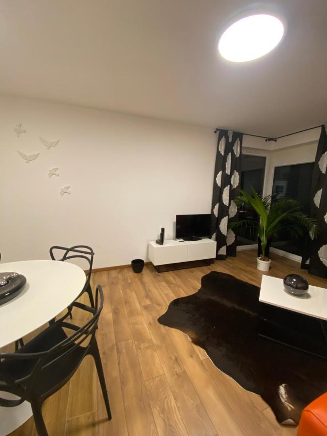 Vip Polo Apartment Gliwice Buitenkant foto